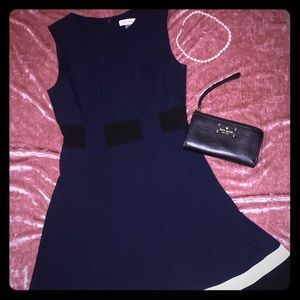 Fit and flare Calvin Klein dress